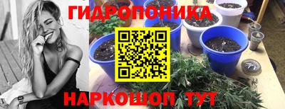 дурь Будённовск