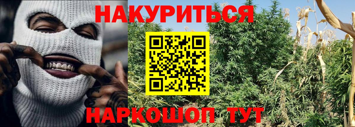 Конопля марихуана Новошахтинск